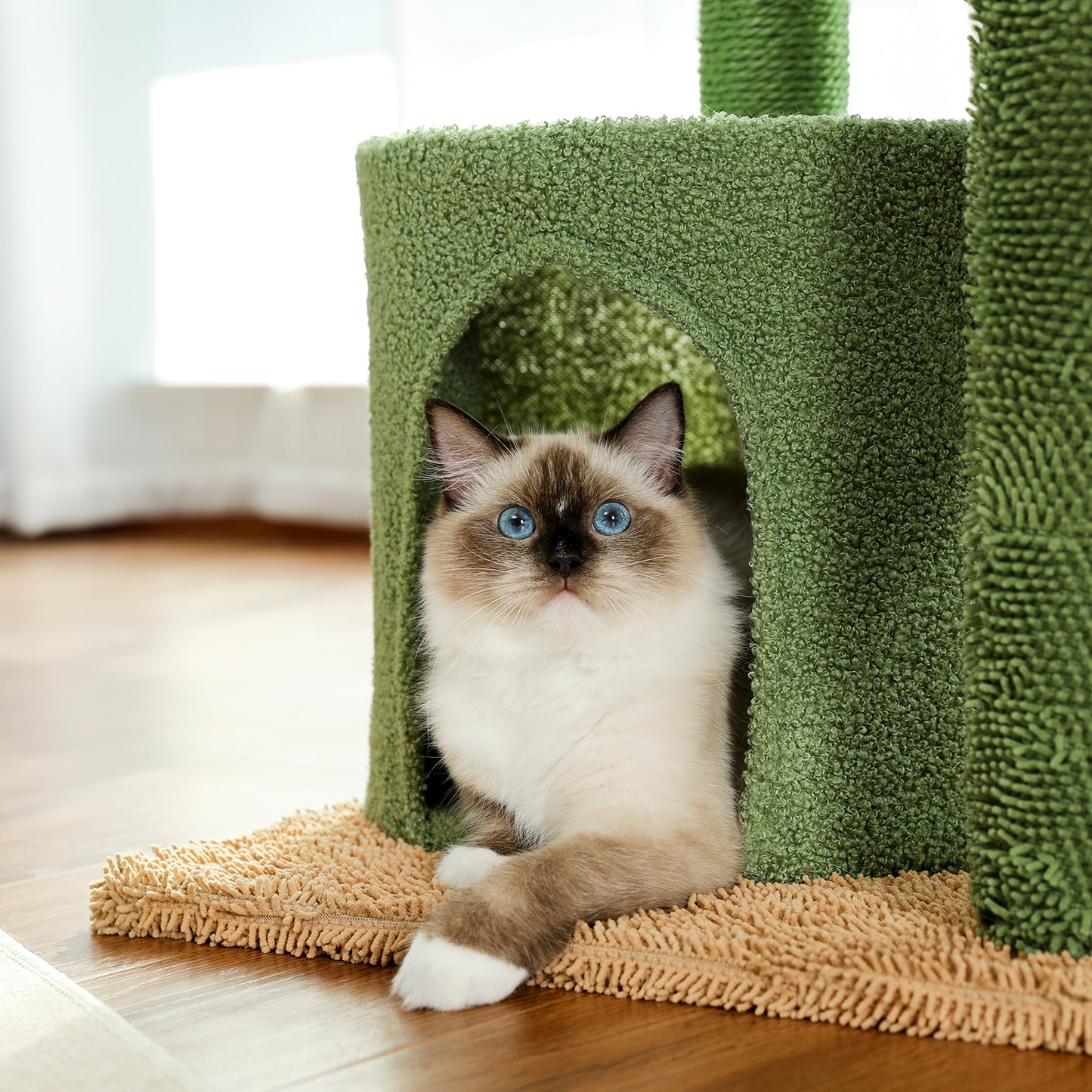 A Cactus-shaped Cat Condo with a Siamese cat lying inside