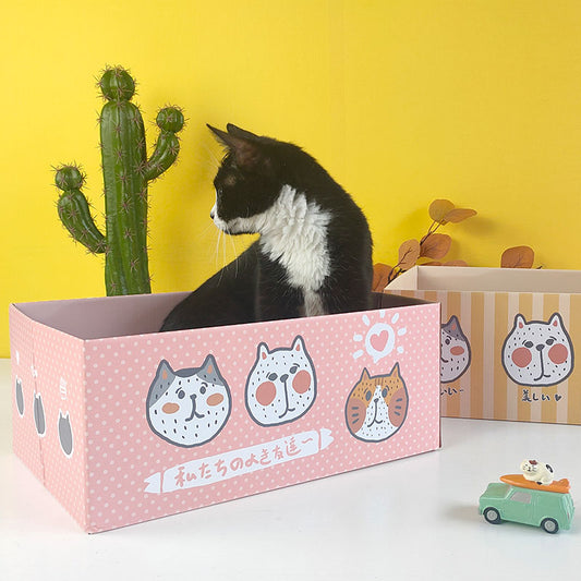 Cat box