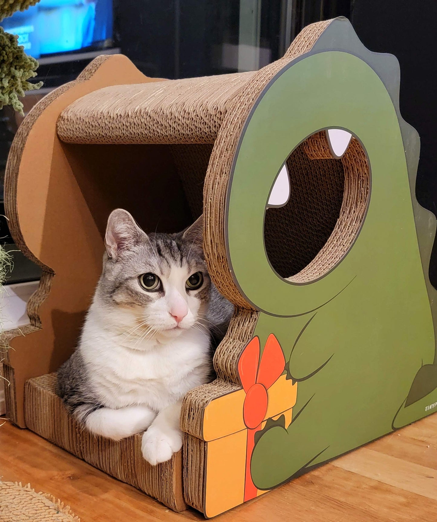 Dinosaur Cat Scratcher – Pockase - Main Image