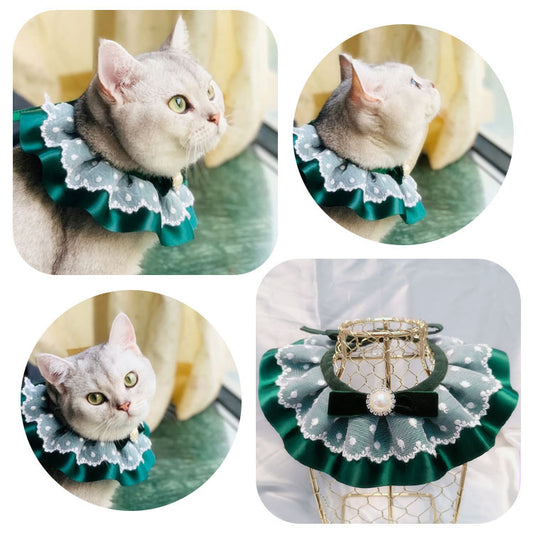 cat bib